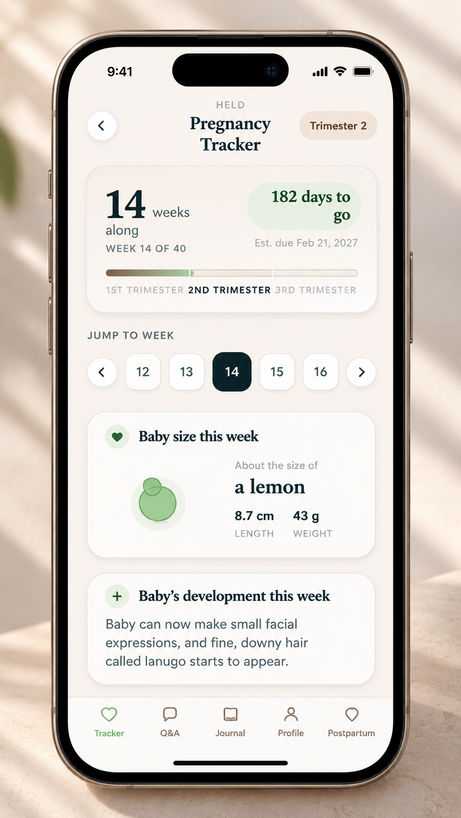 Held pregnancy tracker mobile app screen