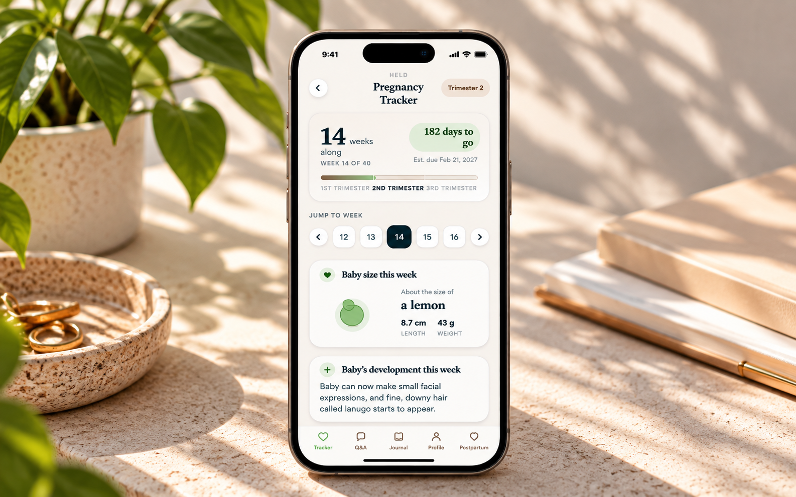 Held pregnancy tracker mobile app screen